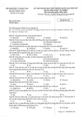 Đề thi Trung học phổ thông Quốc gia môn Hóa học năm 2017 - Mã đề 223